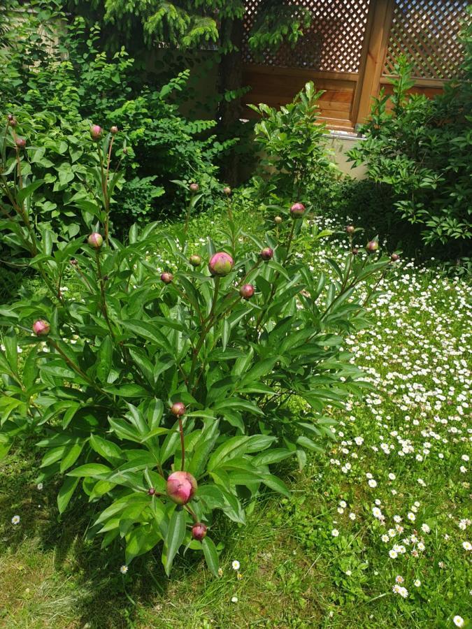 Apartment Mirela ซาราเยโว ภายนอก รูปภาพ